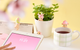 Sonny Angel Hippers Cherry Blossom Blind Box